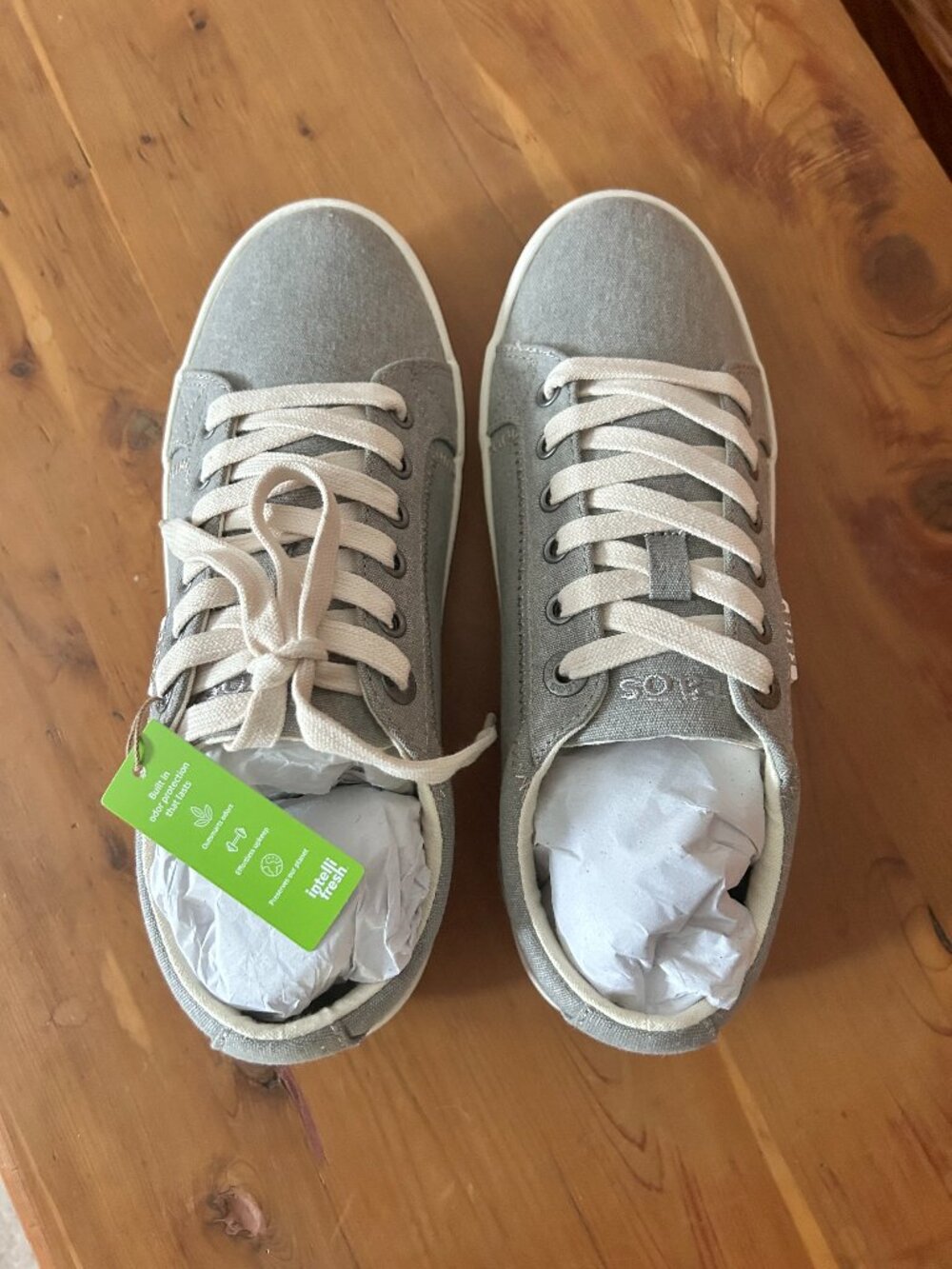 Taos - Star Grey Canvas Sneaker - Size 8 - Brand New - Still in the Box